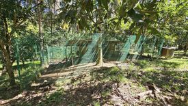 Land for sale in Ipil, Cebu