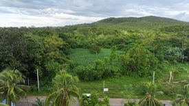 Land for sale in Tinago, Bohol