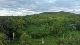 Land for sale in Tinago, Bohol