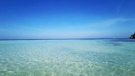 Land for sale in Taluya, Sarangani