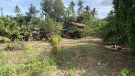 Land for sale in Irawan, Palawan