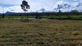 Land for sale in Canlubang, Laguna