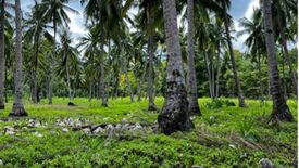 Land for sale in San Miguel, Palawan