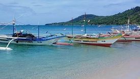 Land for sale in Alacalian, Palawan