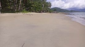 Land for sale in Alacalian, Palawan