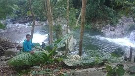 Land for sale in Poblacion, Palawan