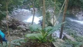 Land for sale in Poblacion, Palawan