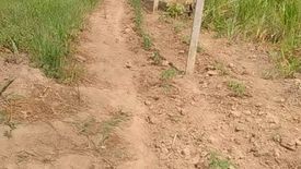 Land for sale in Sandoval, Palawan