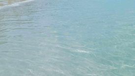 Land for sale in Abongan, Palawan