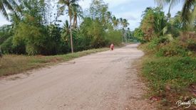 Land for sale in Abongan, Palawan