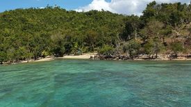 Land for sale in Luac, Palawan