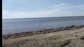 Land for sale in Batong Buhay, Occidental Mindoro