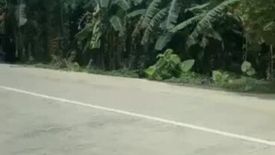 Land for sale in Barotuan, Palawan