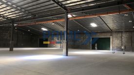 Warehouse / Factory for rent in Balingcanaway, Tarlac