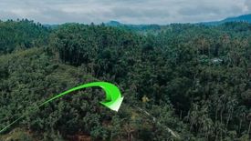 Land for sale in Panangquilon, Bohol