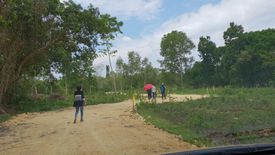 Land for sale in San Isidro, Bohol