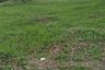 Land for sale in Maharlika East, Cavite