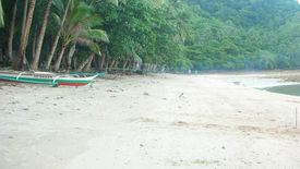 Land for sale in Barotuan, Palawan