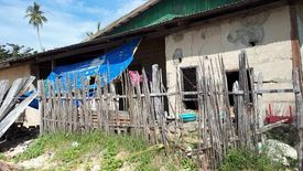 Land for sale in Barotuan, Palawan