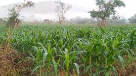 Land for sale in Decalachao, Palawan