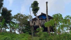 Land for sale in Salvacion, Palawan