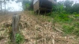 Land for sale in Decabobo, Palawan