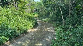 Land for sale in Tupa, Pangasinan