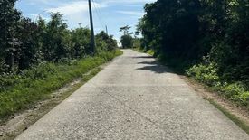 Land for sale in Tupa, Pangasinan