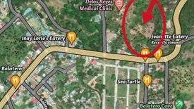 Land for sale in Caagutayan, Oriental Mindoro