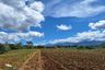 Land for sale in Poblacion, Bukidnon