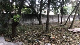 Land for rent in Santo Niño, Metro Manila