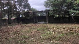 Land for rent in Santo Niño, Metro Manila