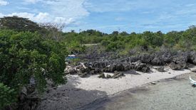 Land for sale in Tongo, Siquijor