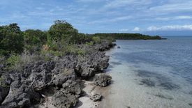 Land for sale in Tongo, Siquijor