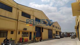 Warehouse / Factory for rent in Camias, Pampanga