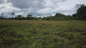 Land for sale in Poblacion, Bohol