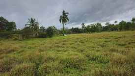 Land for sale in Poblacion, Bohol