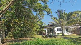 Land for sale in Tawala, Bohol