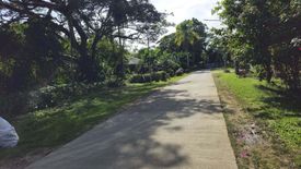 Land for sale in Dao, Bohol