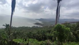 Land for sale in Malapad, Quezon