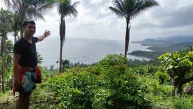 Land for sale in Malapad, Quezon