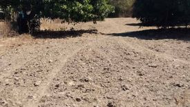 Land for sale in Poblacion 1, Tarlac