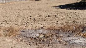 Land for sale in Poblacion 1, Tarlac