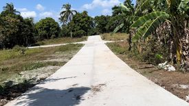 Land for sale in Daine II, Cavite