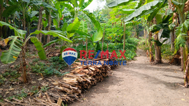 Land for sale in Cili, Pangasinan