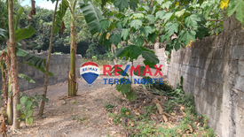 Land for sale in Cili, Pangasinan