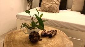 2 Bedroom Condo for rent in Avida Towers San Lorenzo, Bangkal, Metro Manila near MRT-3 Magallanes