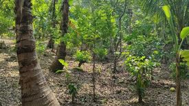 Land for sale in Kaysuyo, Cavite