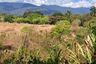 Land for sale in Princess Urduja, Palawan