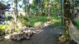 Land for sale in Mias, Zamboanga del Norte